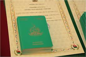 Understanding the Cost of Vanuatu Passport A Complete Guide Understanding the Cost of Vanuatu Passport A Complete Guide